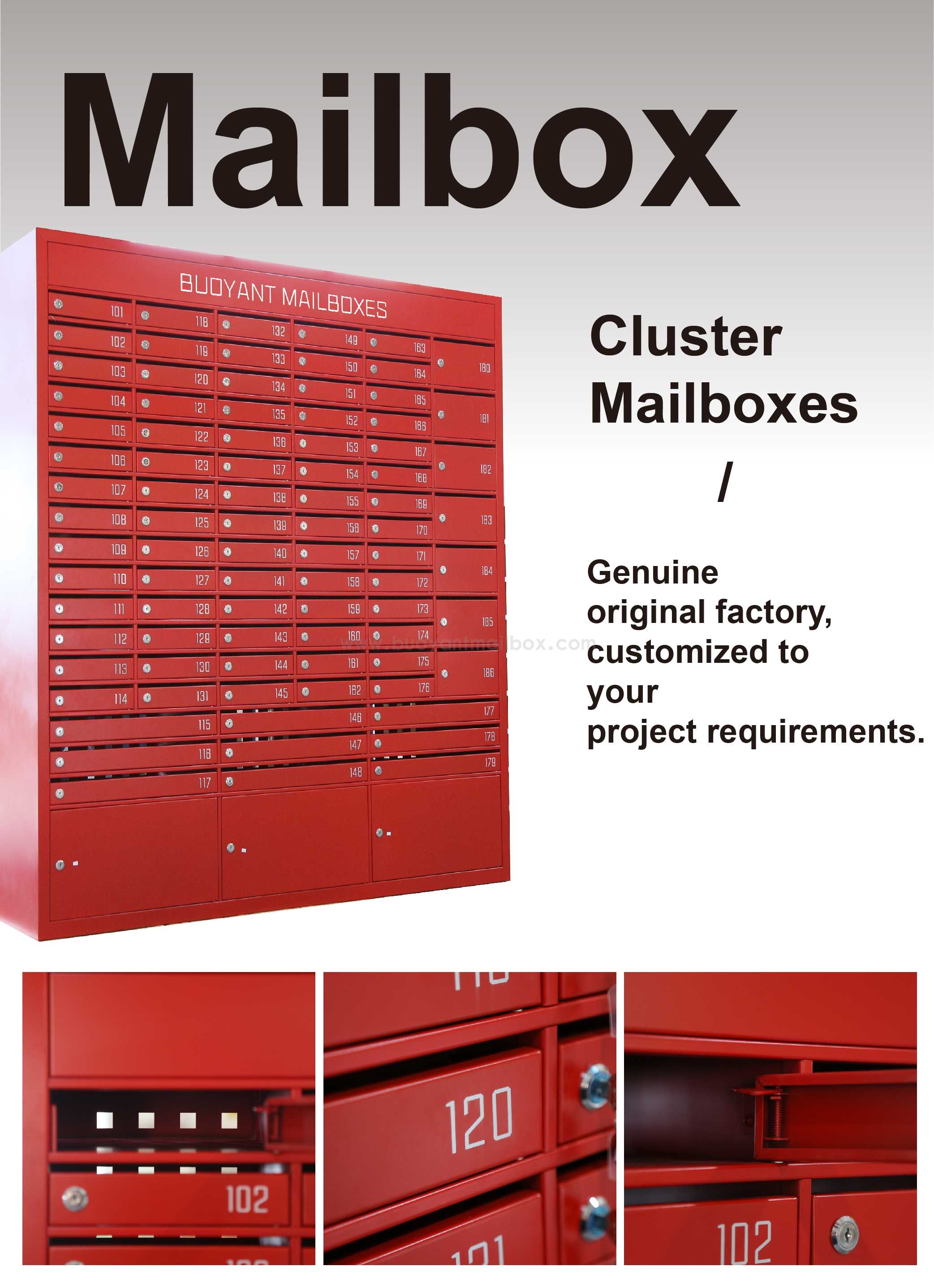 详情页首图2_画板 1.jpg