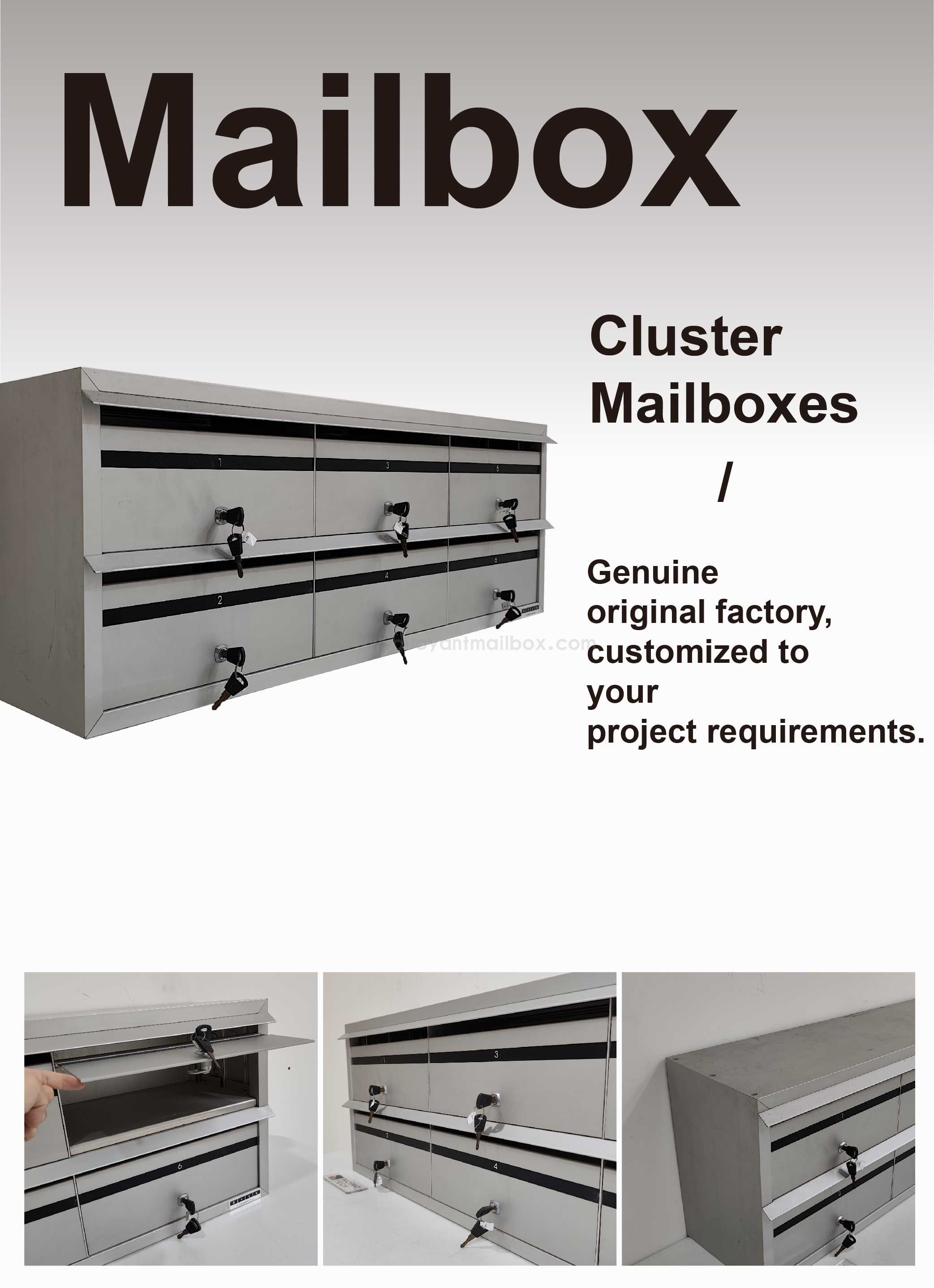 详情页首图_画板 1.jpg